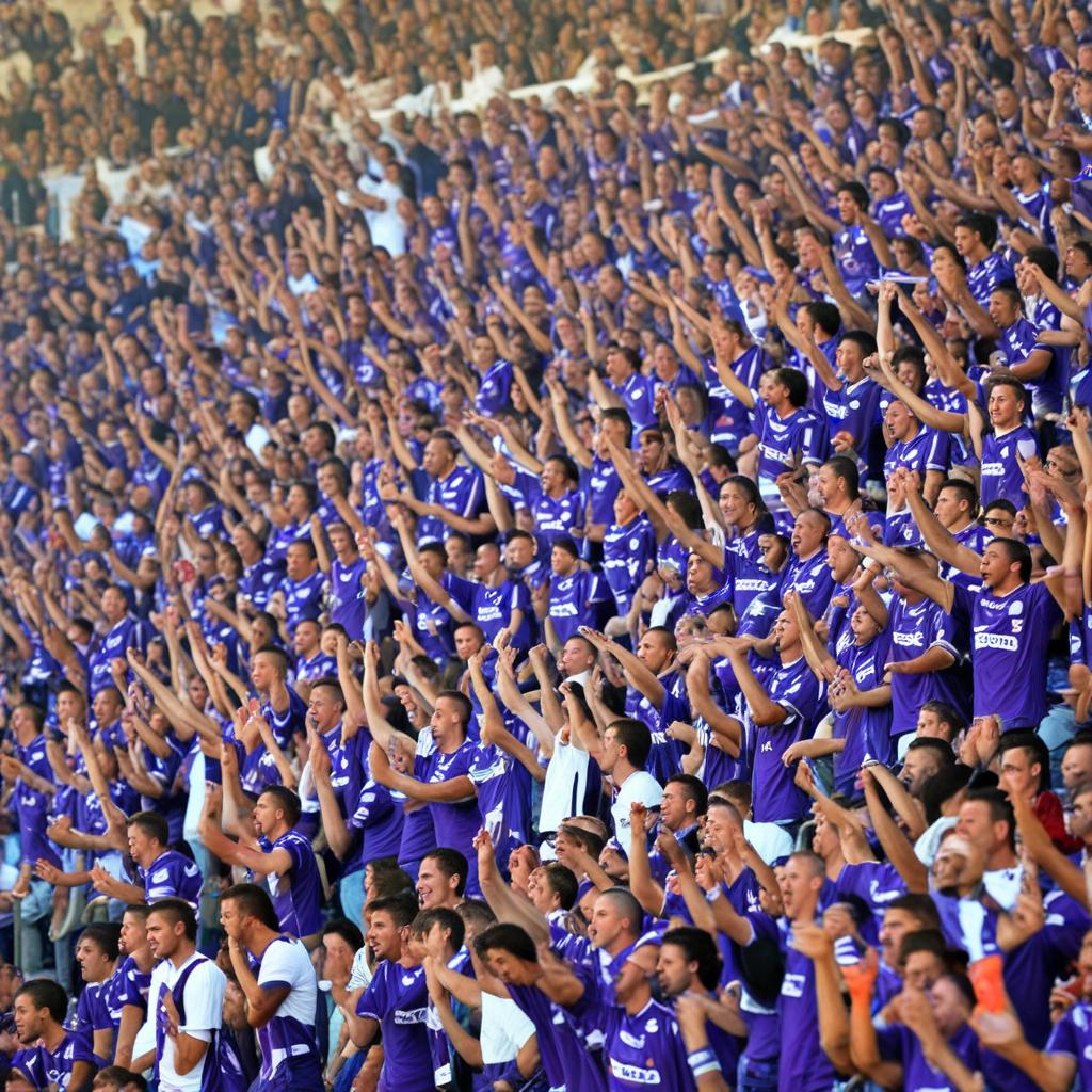 Fiorentina vs Pafos tickets